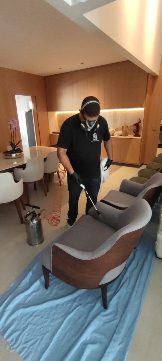 Limpeza de poltronas estofadas em sala de jantar